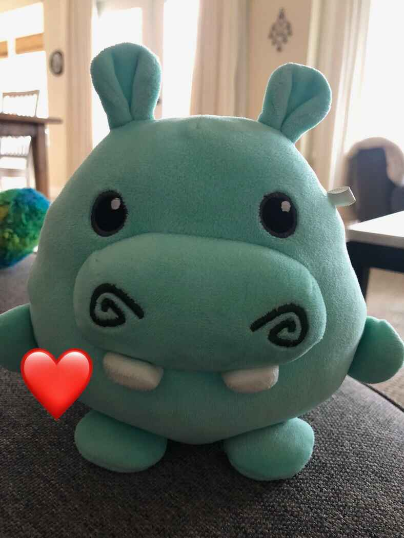 hippo